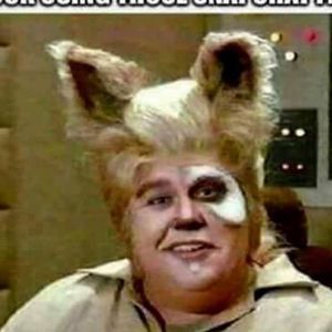 Meet your Posher, Talia rae